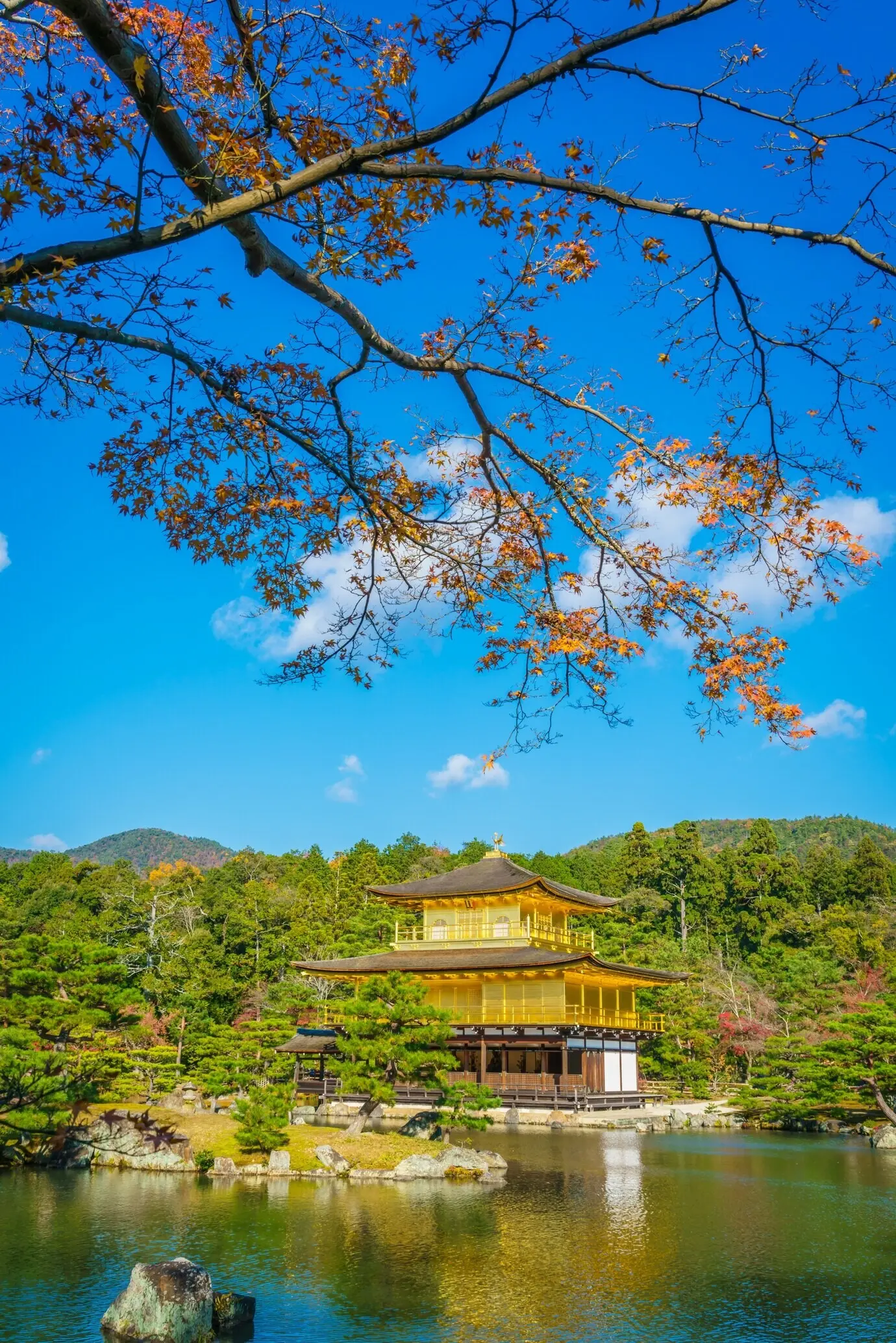 한국어로 재표현할 원문 설명을 제공해 주세요.